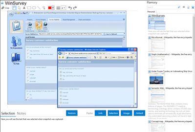 WinSurvey - Flamory bookmarks and screenshots