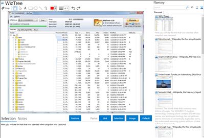 WizTree - Flamory bookmarks and screenshots