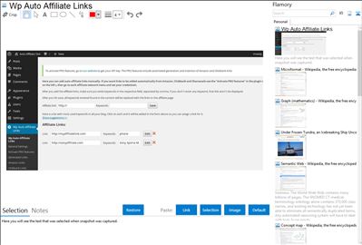 Wp Auto Affiliate Links - Flamory bookmarks and screenshots