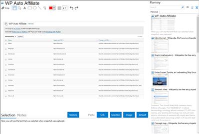 WP Auto Affiliate - Flamory bookmarks and screenshots