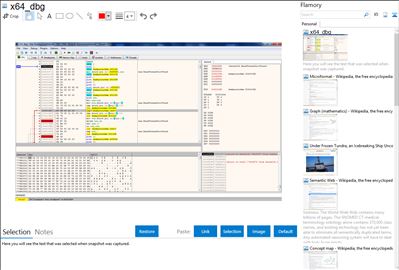 x64_dbg - Flamory bookmarks and screenshots