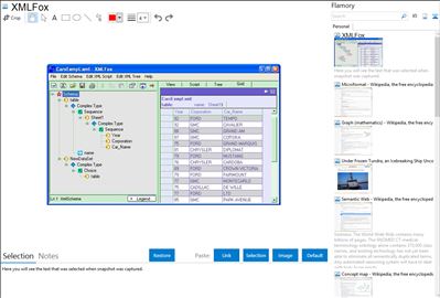 XMLFox - Flamory bookmarks and screenshots