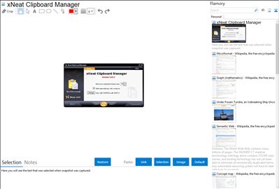 xNeat Clipboard Manager - Flamory bookmarks and screenshots