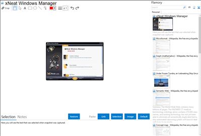 xNeat Windows Manager - Flamory bookmarks and screenshots