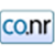 Canning Town News logo
