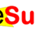 eSurv.org logo