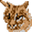 Lynx logo