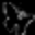 Pipette logo