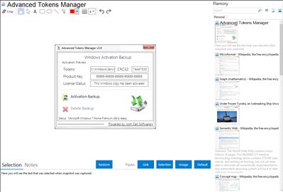 Advanced Tokens Manager - Flamory bookmarks and screenshots