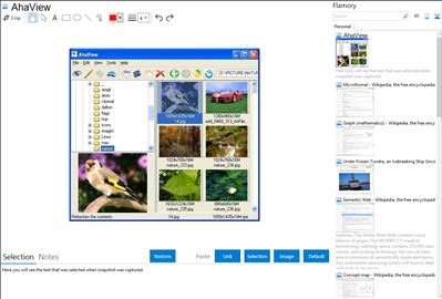 AhaView - Flamory bookmarks and screenshots