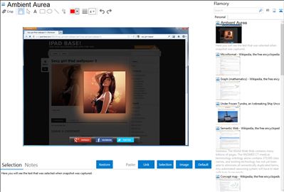 Ambient Aurea - Flamory bookmarks and screenshots