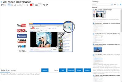 Ant Video Downloader - Flamory bookmarks and screenshots