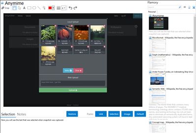 Anymime - Flamory bookmarks and screenshots