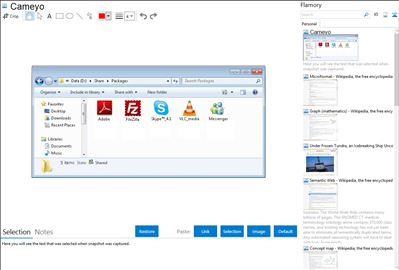 Cameyo - Flamory bookmarks and screenshots