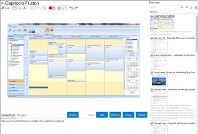 Capriccio Fuzion - Flamory bookmarks and screenshots