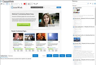 CauseWish - Flamory bookmarks and screenshots