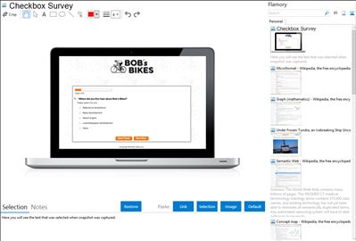 Checkbox Survey - Flamory bookmarks and screenshots