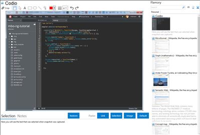 Codio - Flamory bookmarks and screenshots