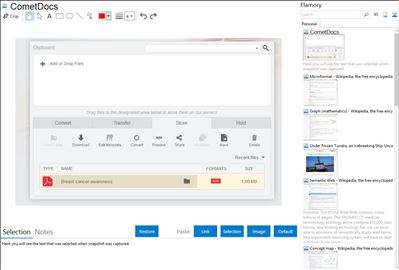 CometDocs - Flamory bookmarks and screenshots