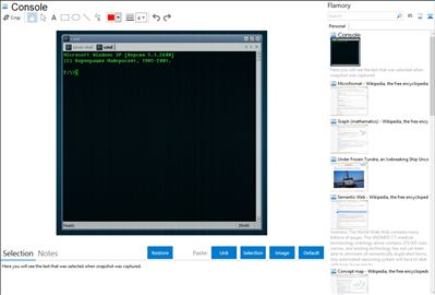 Console - Flamory bookmarks and screenshots