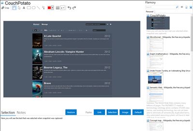CouchPotato - Flamory bookmarks and screenshots