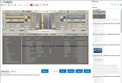 CuteDJ - Flamory bookmarks and screenshots