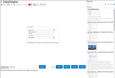 DataWeigher - Flamory bookmarks and screenshots
