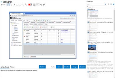 DbNinja - Flamory bookmarks and screenshots