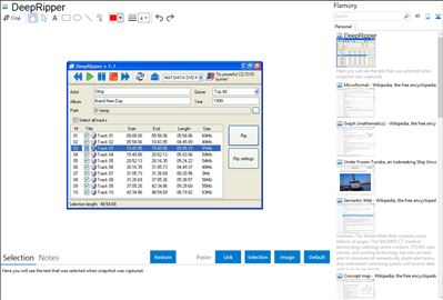 DeepRipper - Flamory bookmarks and screenshots
