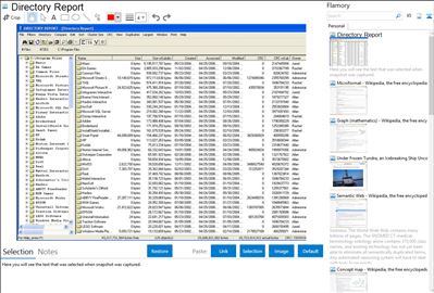 Directory Report - Flamory bookmarks and screenshots