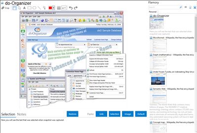 do-Organizer - Flamory bookmarks and screenshots