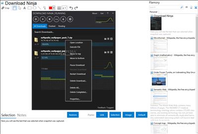 Download Ninja - Flamory bookmarks and screenshots
