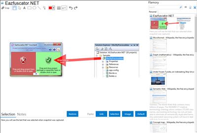 Eazfuscator.NET - Flamory bookmarks and screenshots