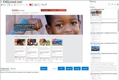 ENDcrowd.com - Flamory bookmarks and screenshots