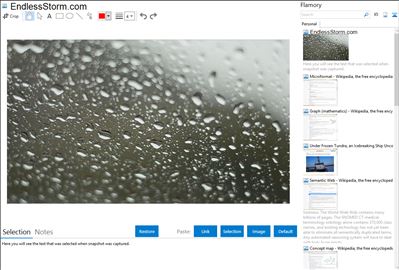 EndlessStorm.com - Flamory bookmarks and screenshots