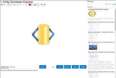 Entity Developer Express - Flamory bookmarks and screenshots