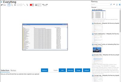 Everything - Flamory bookmarks and screenshots