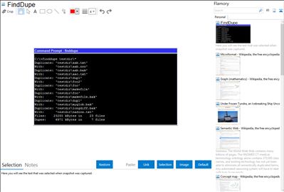 FindDupe - Flamory bookmarks and screenshots