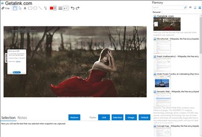 Getalink.com - Flamory bookmarks and screenshots