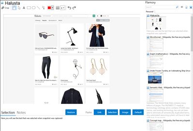 Halusta - Flamory bookmarks and screenshots