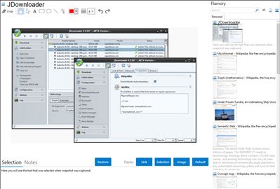 JDownloader - Flamory bookmarks and screenshots