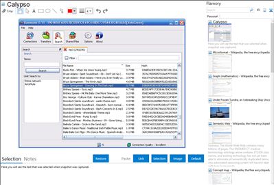 Calypso - Flamory bookmarks and screenshots