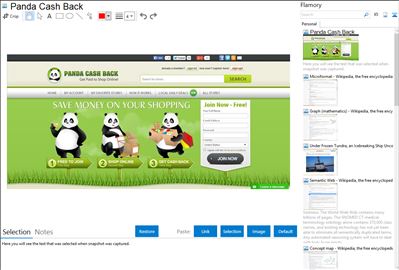 Panda Cash Back - Flamory bookmarks and screenshots