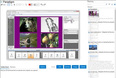 Paradigm - Flamory bookmarks and screenshots