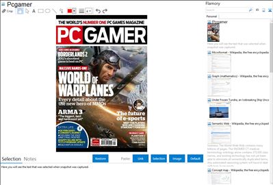 Pcgamer - Flamory bookmarks and screenshots