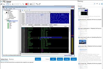 PE-bear - Flamory bookmarks and screenshots