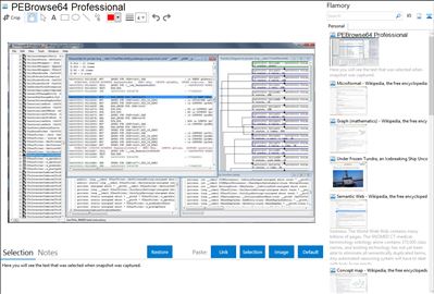 PEBrowse64 Professional - Flamory bookmarks and screenshots