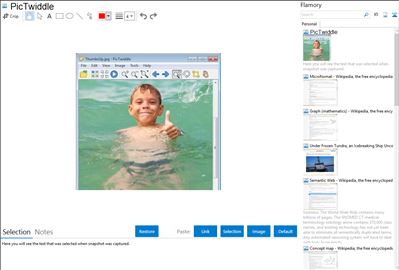 PicTwiddle - Flamory bookmarks and screenshots