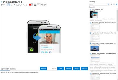 Pipl Search API - Flamory bookmarks and screenshots