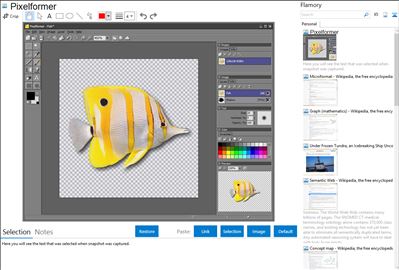 Pixelformer - Flamory bookmarks and screenshots